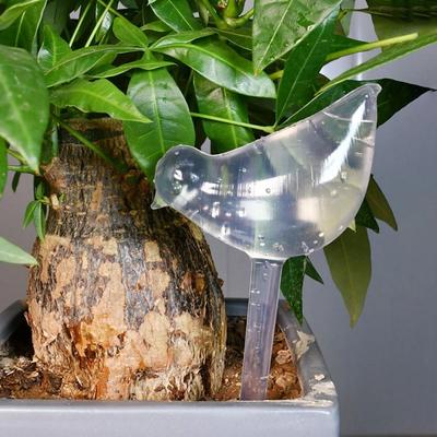 Uplift Essentials Tulip Plant Watering Globes Automatic Self Watering Drippers Set Of 4 bird