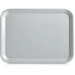 Tablett grau (LB 43,50x32,50 cm) - grau - LB 43,50x32,50 cm