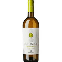 Anticaia  Salento Chardonnay IGP 2025, Cantina San Donaci, Apulien