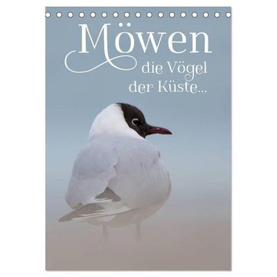 Möwen - die Vögel der Küste (Tischkalender 2027 DIN A5 hoch), CALVENDO Monatskalender