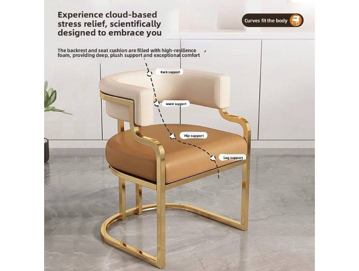 Chaise d'appoint de luxe légère et moderne, chaise de salle à manger Premium pour Salon de réception, bureau, conférence, hôtel, Salon, maquillage, Studio de manucure