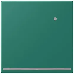 Jung LED-Orientierungslicht LC 1539-O LNW 216