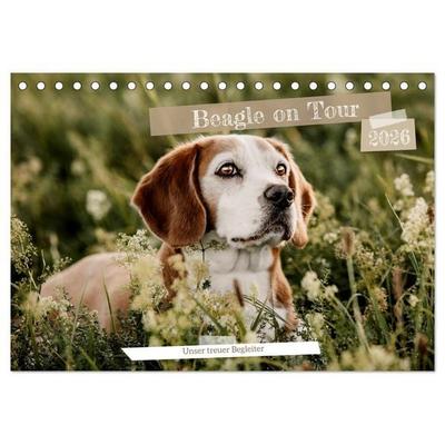 Beagle - Unser treuer Begleiter (Tischkalender 2026 DIN A5 quer), CALVENDO Monatskalender
