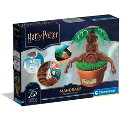 Clementoni Harry Potter Alraune Kreativ- und Pflanzset ab 7 Jahren