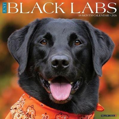 Black Labs 2026 Wall Calendar