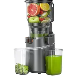 Amzchef CE-SJ-036C-GA Slow Juicer, Entsafter, Silber