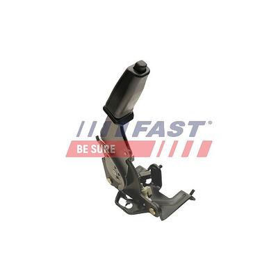 Fast Hebel, Bremssattel-Feststellbremse [Hersteller-Nr. FT69906] für Ford