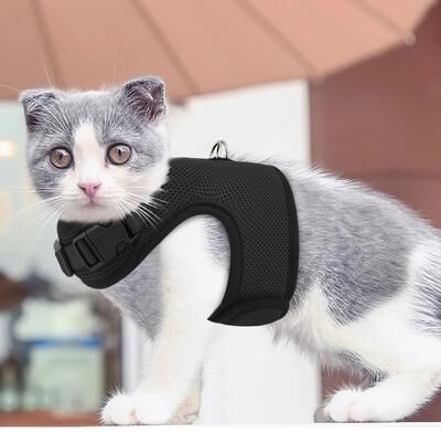 Drop Dash Deals Adjustable Escape Proof Cat Harness Reflective Soft Mesh Walking Vest For Pet Comfort Adjustable Escape Proof Cat Harness Reflective Soft Mesh Walking Vest For Pet Comfort