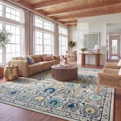 SAFAVIEH Evoke Tamra Distressed Vintage Boho Rug