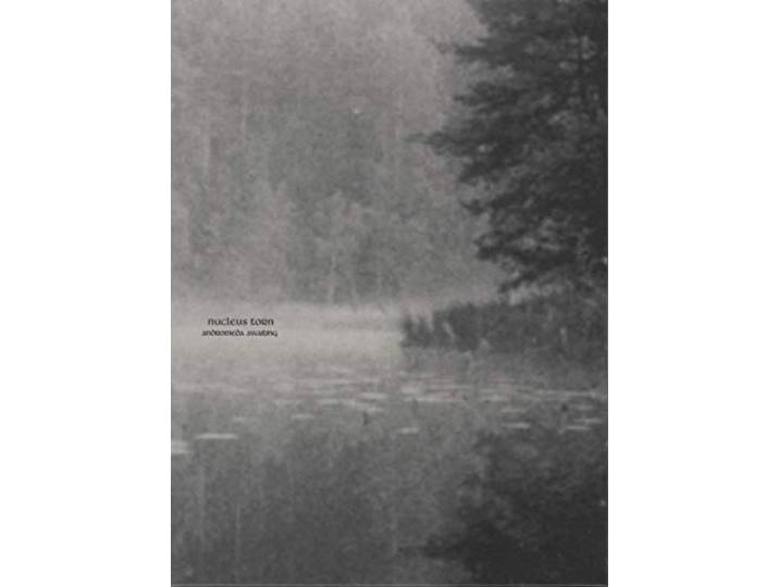 Nucleus Torn - Andromeda Awaiting
