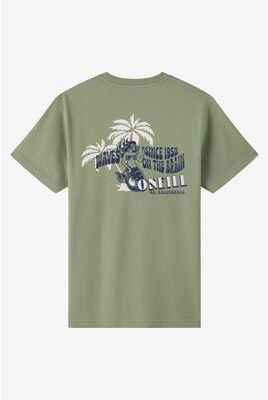 O'Neill s Phrase Classic T-Shirt in Sage, Size 2XL