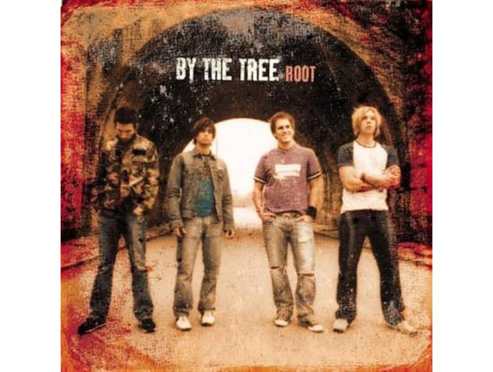 Root