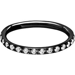 Titan Segmentring Clicker EINGEFASSTE KRISTALLE