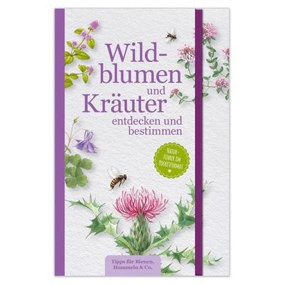 Wildblumen und Kräuter entdecken und bestimmen, Taschenbuch von , Lingen, 978-3-96347-429-3