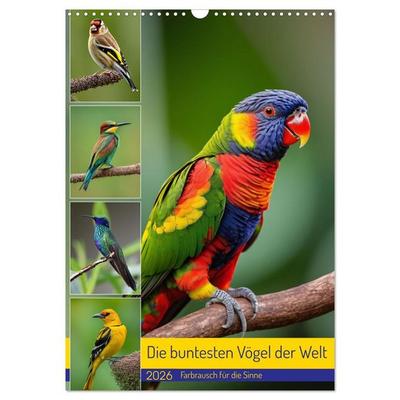 Die buntesten Vögel der Welt (Wandkalender 2026 DIN A3 hoch), CALVENDO Monatskalender