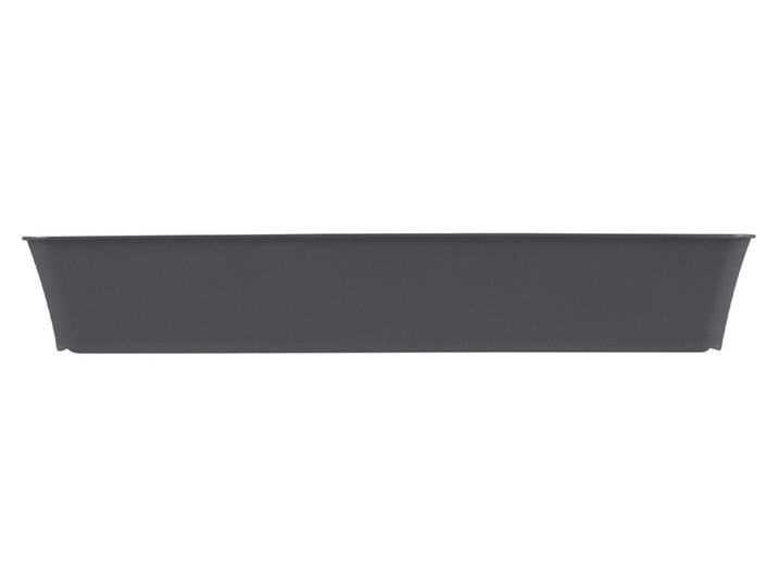 Rotho Ablagebox Living Tray C4