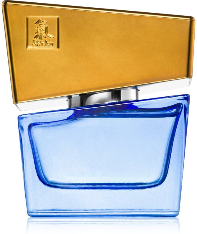 HOT Shiatsu Dark Blue Parfum aux phéromones pour homme 50 ml
