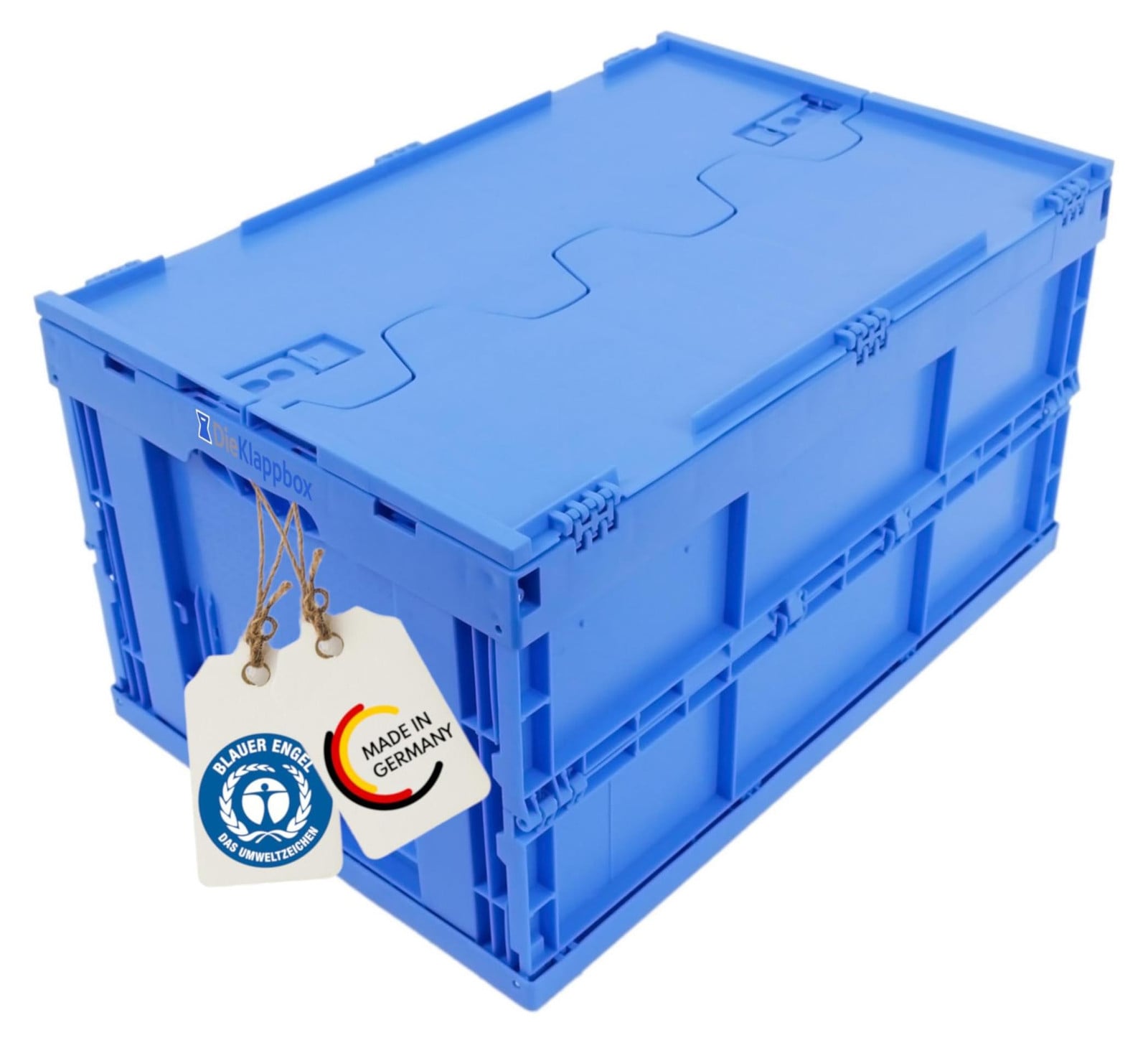 Vouwbare Opbergdoos met Deksel 61 L Solid