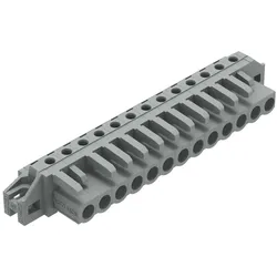 WAGO GmbH &amp; Co. KG THT-Federleiste abgewink. 232-243/031-000