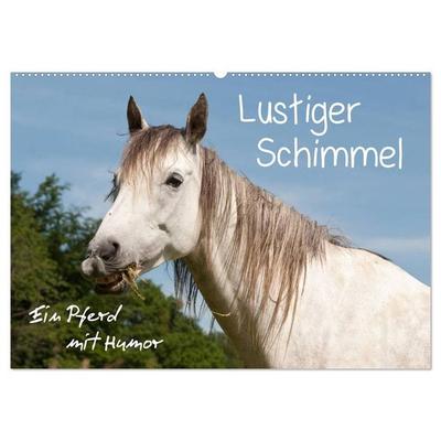 Lustiger Schimmel - ein Pferd mit Humor (Wandkalender 2027 DIN A2 quer), CALVENDO Monatskalender