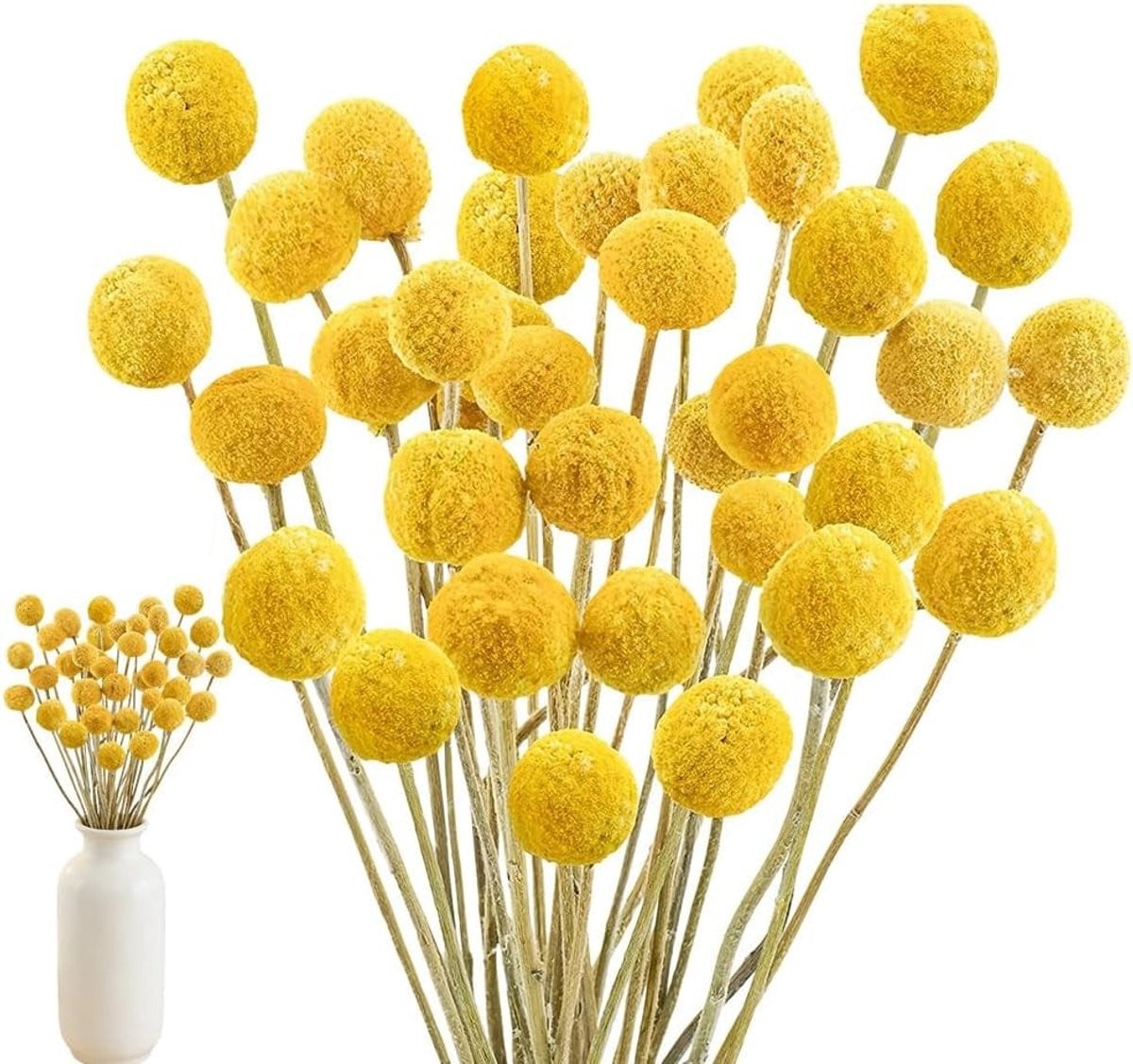 40 Stuks Gedroogde Gele Craspedia Bloemen van 43 cm voor DIY Bloemarrangementen en Bruiloften
