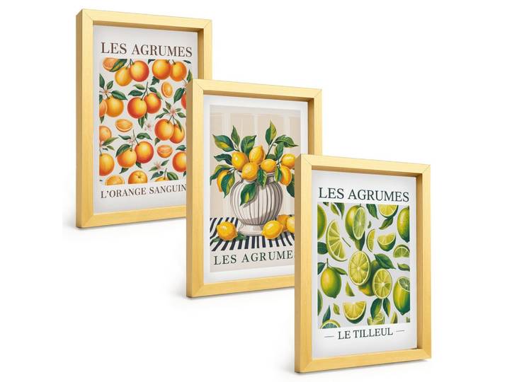 BILDER SET 3er Set - 20x30 cm Goldrahmen - Zitrusfrüchte in farbenfrohen Varianten