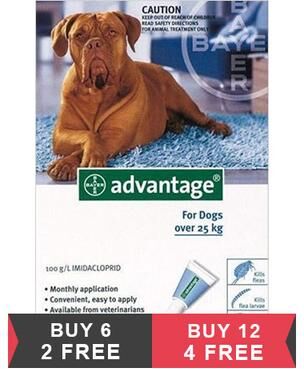 Advantage Extra Large Dogs Over 55 Lbs (Blue) 4 Doses