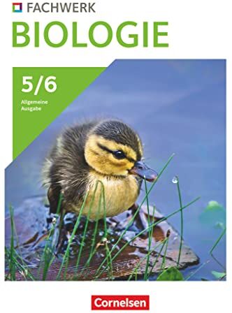 Fachwerk Biologie - Allgemeine Ausgabe 2023 - 5./6. Schuljahr: Schulbuch - Preis vom 07.10.2026 11:45:10 h