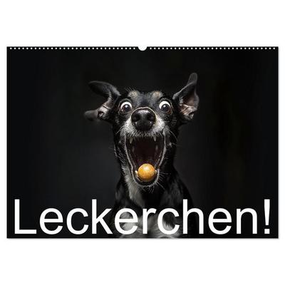 Leckerchen! (Wandkalender 2027 DIN A2 quer), CALVENDO Monatskalender