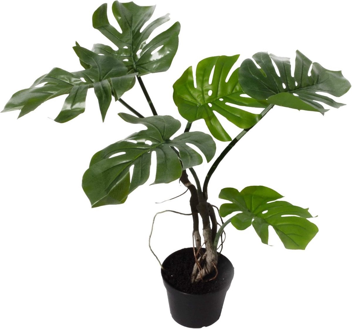 Kunstmatige Monstera Plant met Gedraaide Stam, 60 cm - Groene Kunstplant voor Interieur
