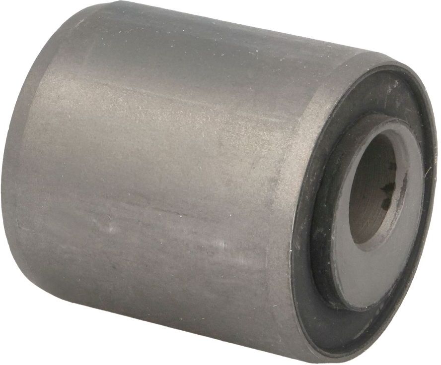 Reinhoch Boccola, perno di articolazione RH60-0001