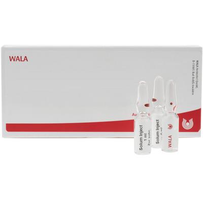 Mesenchym/Calcium carbonicum comp.Ampullen 5x10 ml Ampullen