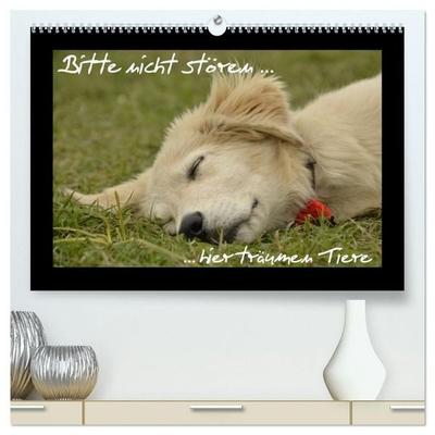 Bitte nicht stören... hier träumen Tiere (hochwertiger Premium Wandkalender 2027 DIN A2 quer), Kunstdruck in Hochglanz
