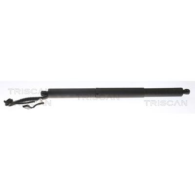 TRISCAN Gasfeder, Koffer-/Laderaum 871011307 für BMW
