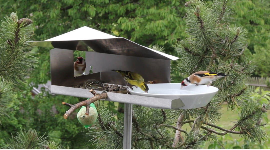 Archie & Oscar Novosel Bird Feeder 17cm H X 46cm W X 26cm D