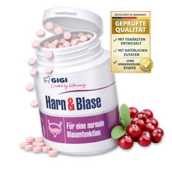 GIGI VET Harn & Blase 90 Stück