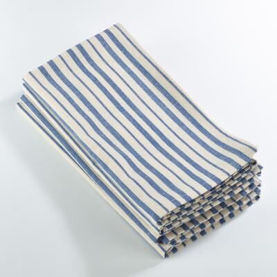 Saro Lifestyle Dauphine Collection Striped Design Dinner Napkin (Set of 4)