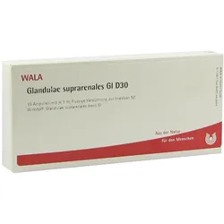 Glandulae Suprarenales GL D 30 Ampullen 10X1 ml