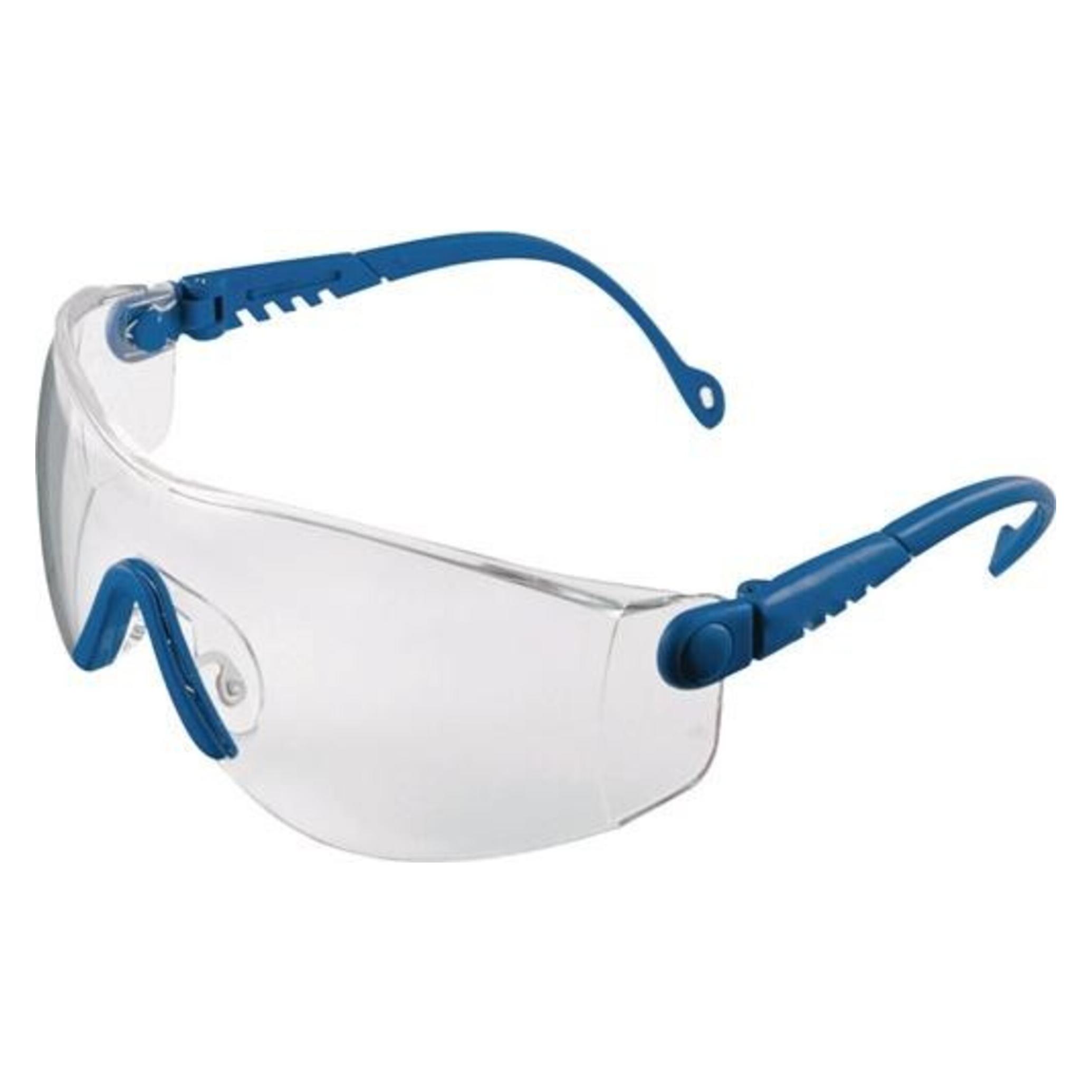 Honeywell Schutzbrille 1000018 Blau DIN (1000018)