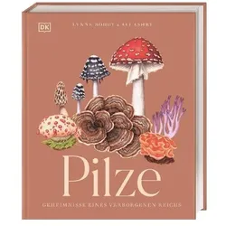 Pilze, Ratgeber von DK Verlag, Eva Sixt, Lynne Boddy, Ali Ashby