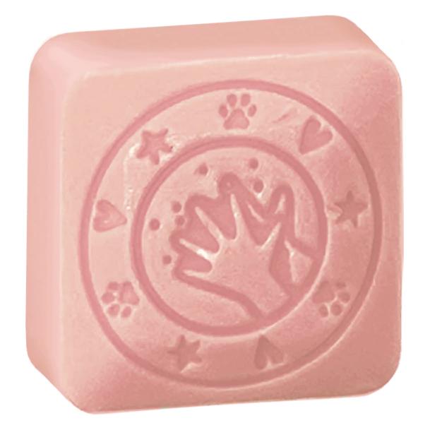 Colop little NIO Cleany Stamp Leo retail (9C 156693)