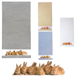 framsohn Frottierserie 'Hase' (Farbe: Beige / Größe: Duschtuch 75 x 150 cm)