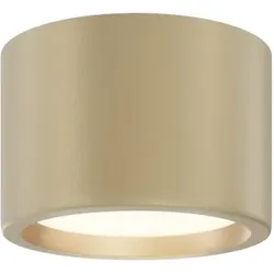 Technical Deckenleuchte Hydra Aluminium Mattes Gold C090CL-10W3K-MG mit IP 44