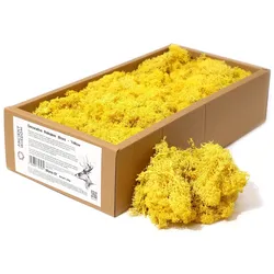 Quality Decoration Reindeer Moss - Yellow - 635g Box