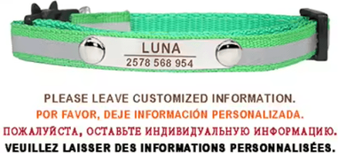 Inspire Picks Personalized Reflective Cat Collar With Free Engraving & Safety Buckle c green 7 12 Inch