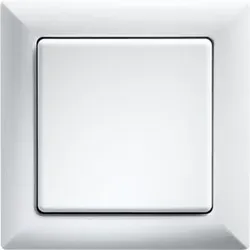 Eltako 30000632 Wippschalter 55 x 55 mm, reinweiß WS55-rw