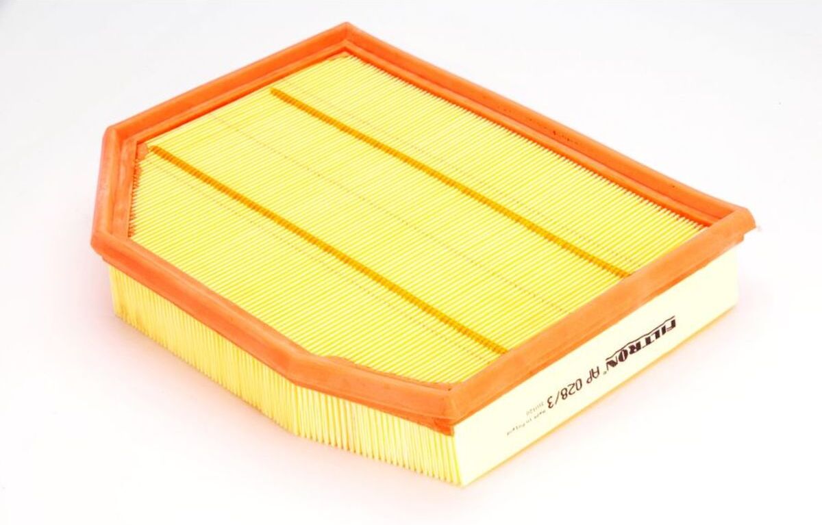Filtron Filtro aria AP028/3