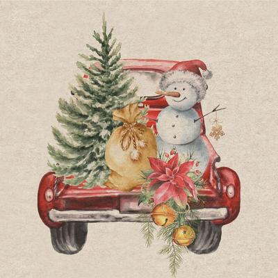 240x PAPER + DESIGN Recycling-Tissue Serviette 33 x 33 cm Car Snowman 2-lagig