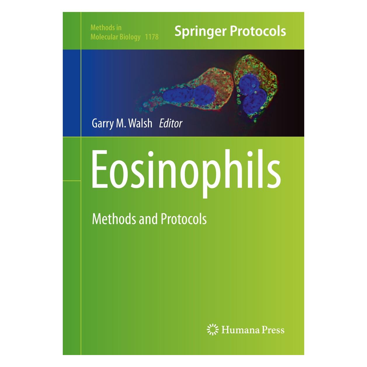 Springer Eosinophils (Englisch, Hardcover, Garry M. Walsh) (9781493910151)