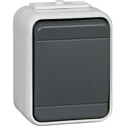 ELSO AP-Universalschalter licht-/basaltgrau 451609